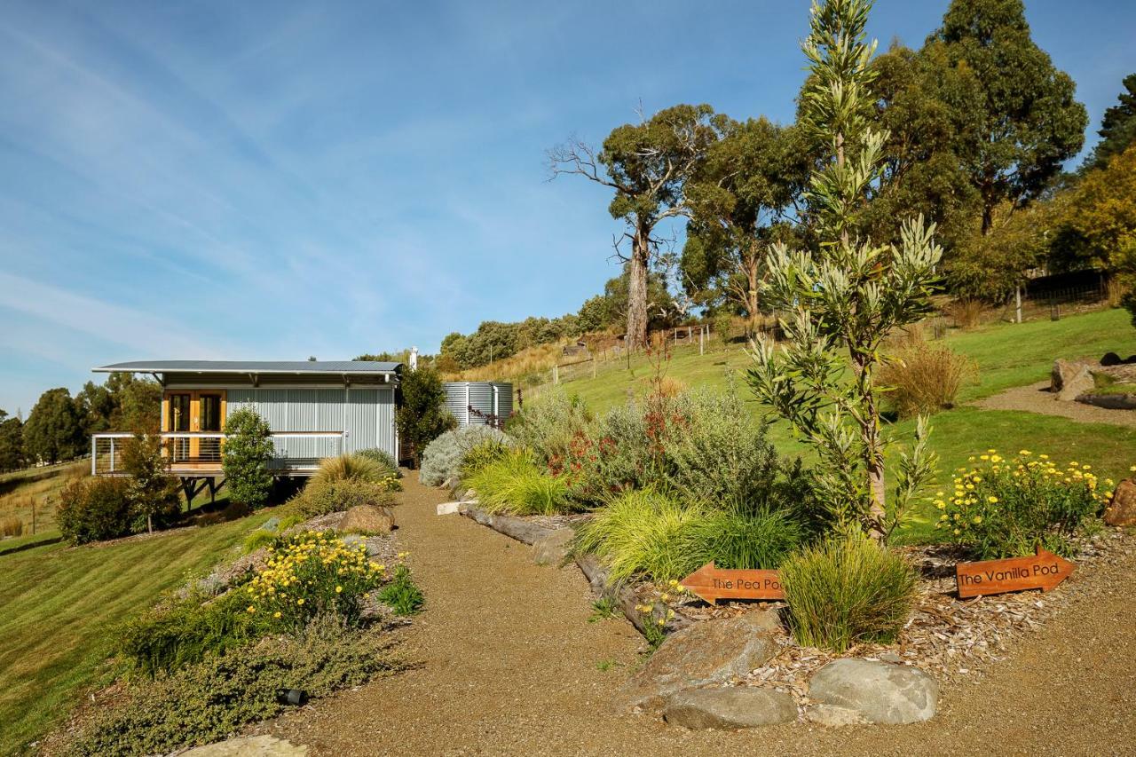 Hobart Hideaway Pods Bed and Breakfast Kingston Exteriör bild